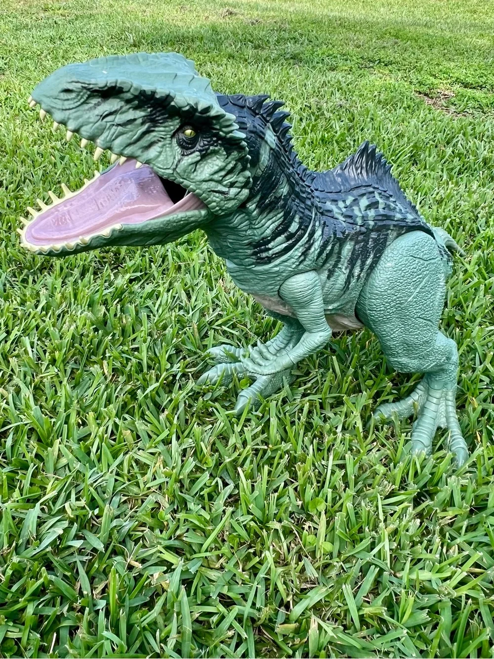 Jurassic World Super Colossal Giganotosaurus 40”  Green Giant Dinosaur Dominion